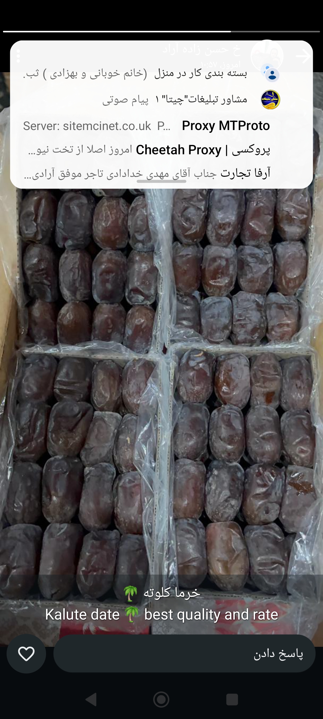 خرما و مشتقات خرما 