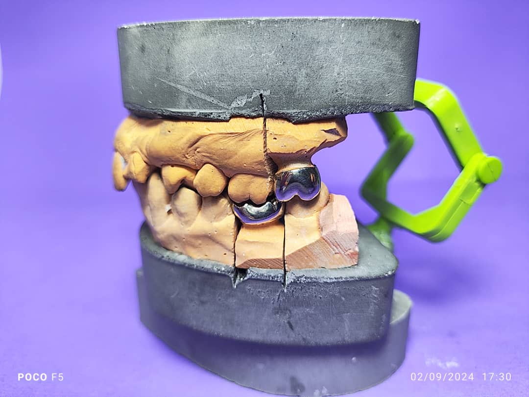 Dental laboratory  