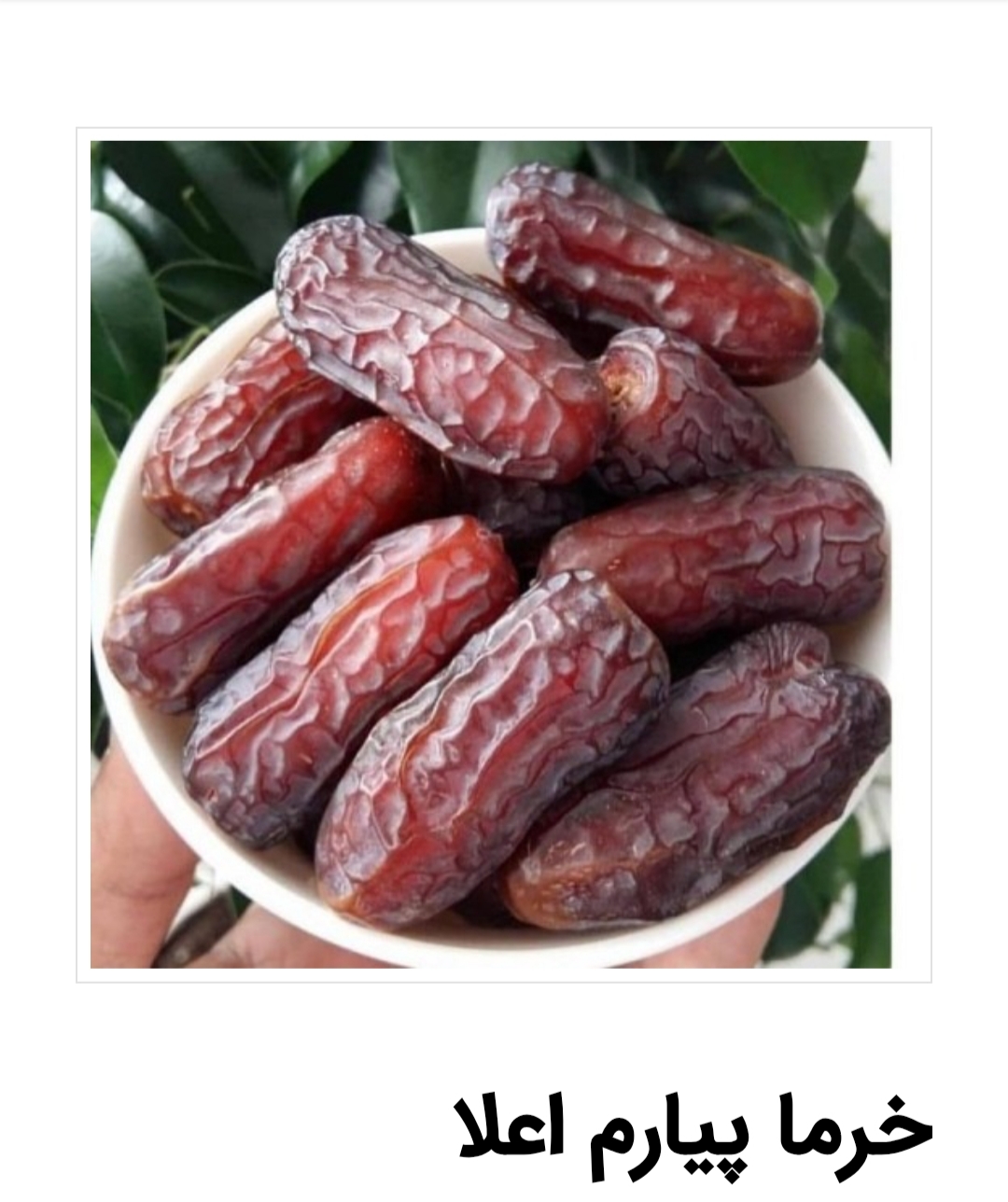 عسل،خرما پیارم