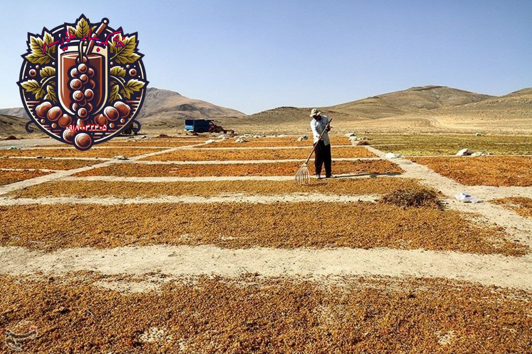 شیره انگور طبیعی