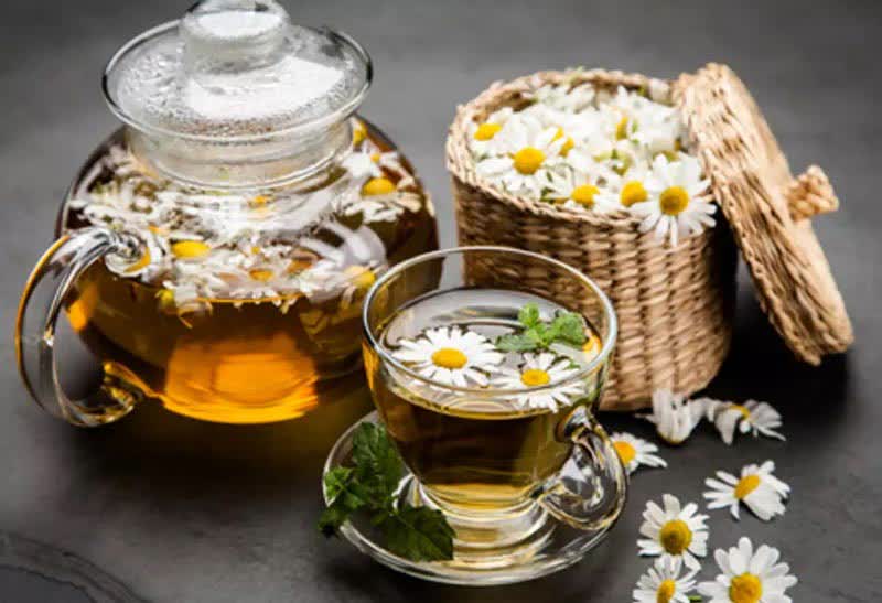 فروش بابونه شیرازی 