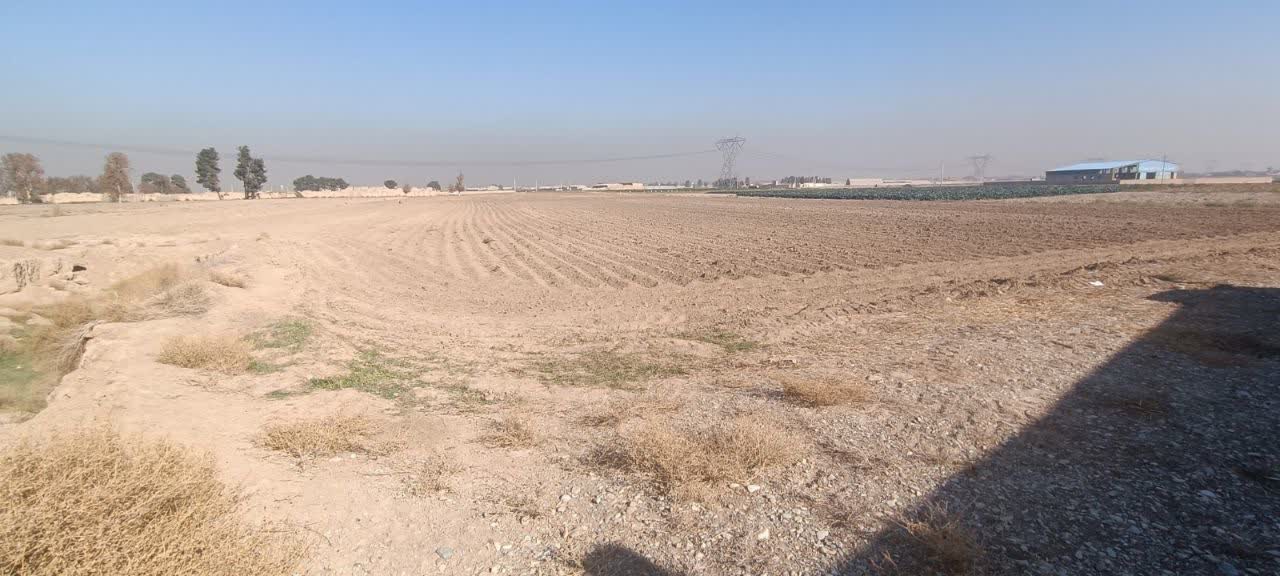 زمین کشاورزی 