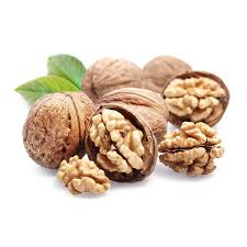 گردوی تازه 