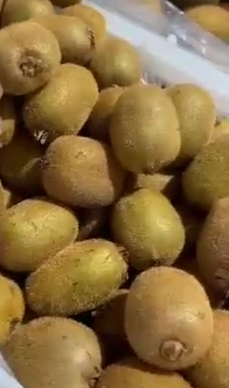 فروش انواع مرکبات پرتقال