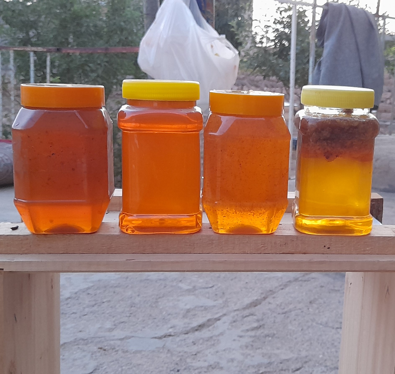 عسل گول چیچک