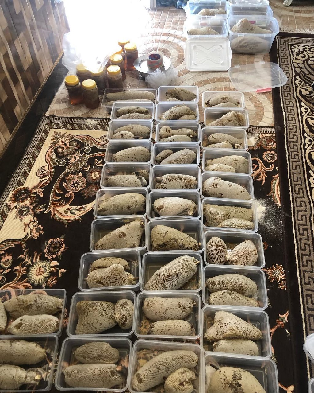 عسل وحشی