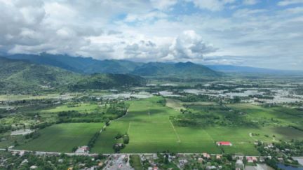 فروش کار خانه و باغ چای