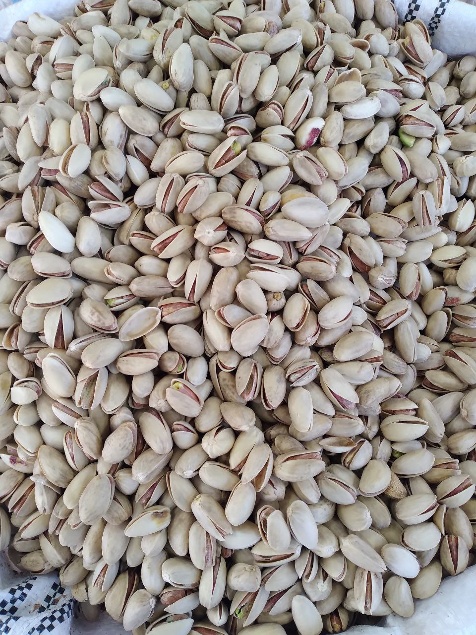 پسته اکبری