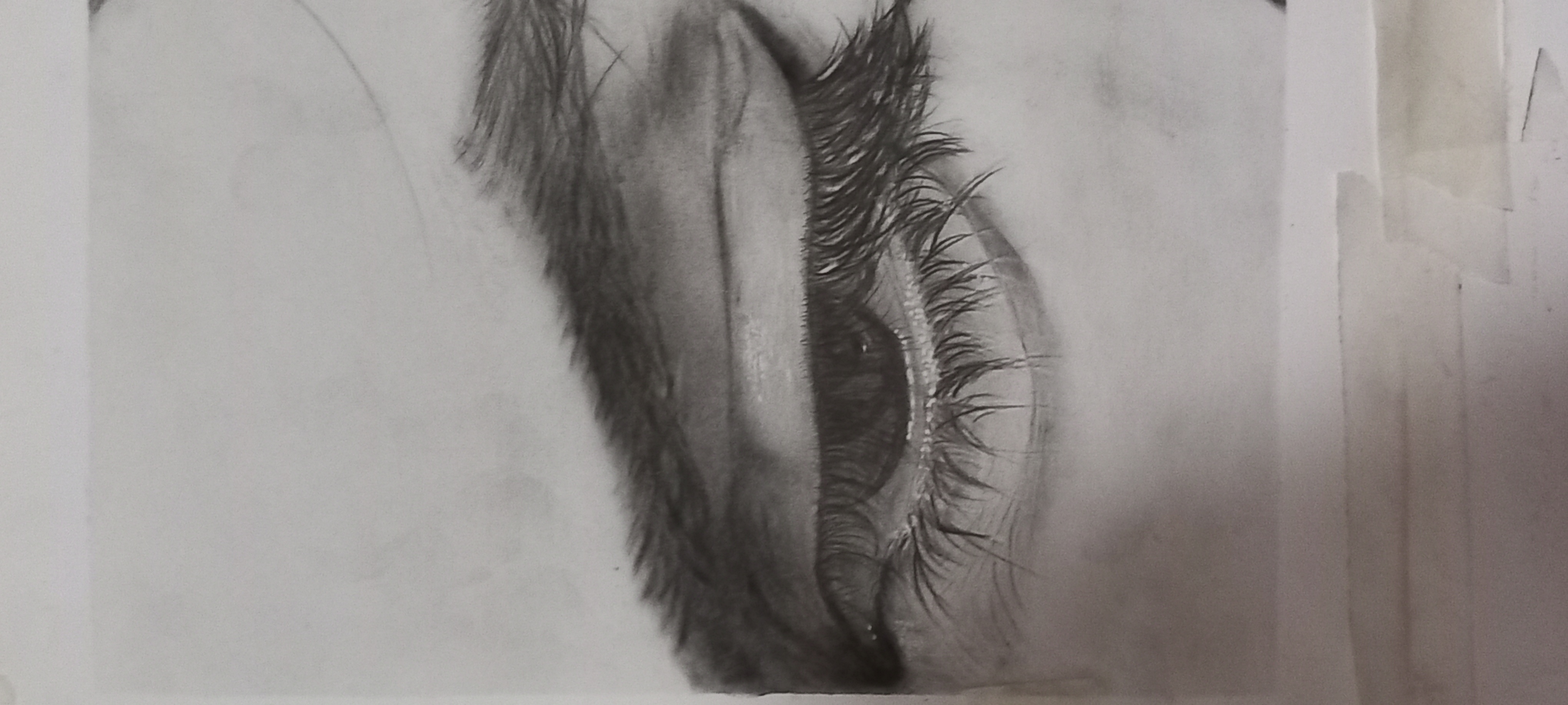 طراحی سیاه قلم،نقاشی