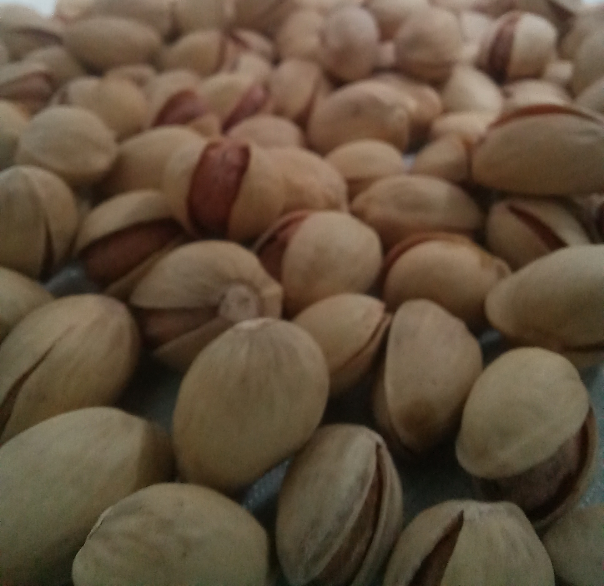 پسته درجه 1 کرمان