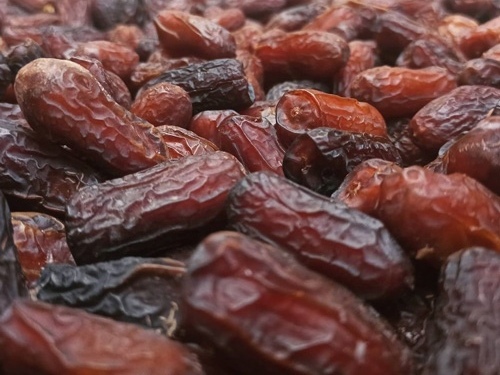 فروش انواع خرما