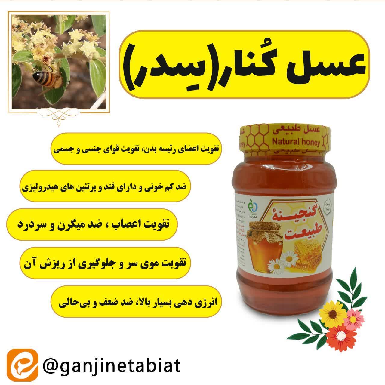 عسل زول و کنار ارگانیک