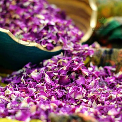 شربت گل محمدی