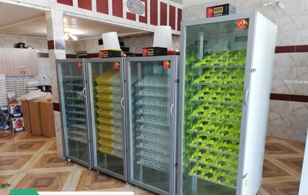 فروش دستگاه جوجه کشی خانگی و صنعتی 