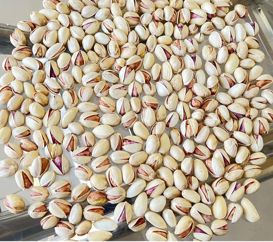 پسته 