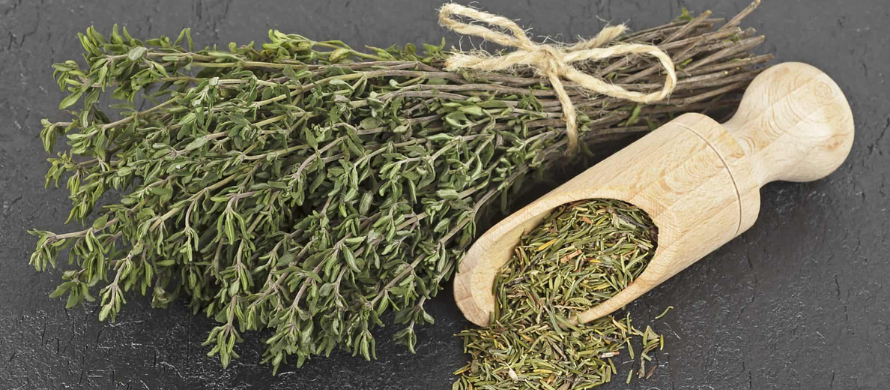 ادویه/زرشک/گیاهان دارویی