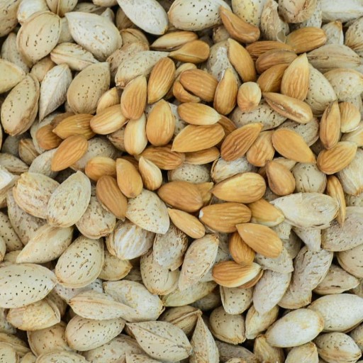بادام درختی شیرین پوست کاغذی وسنگی