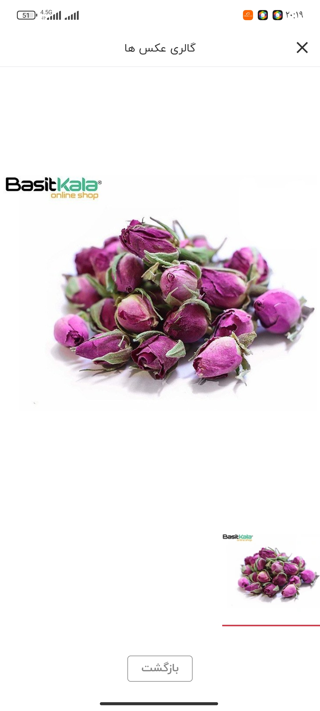 گیاهان دارویی 