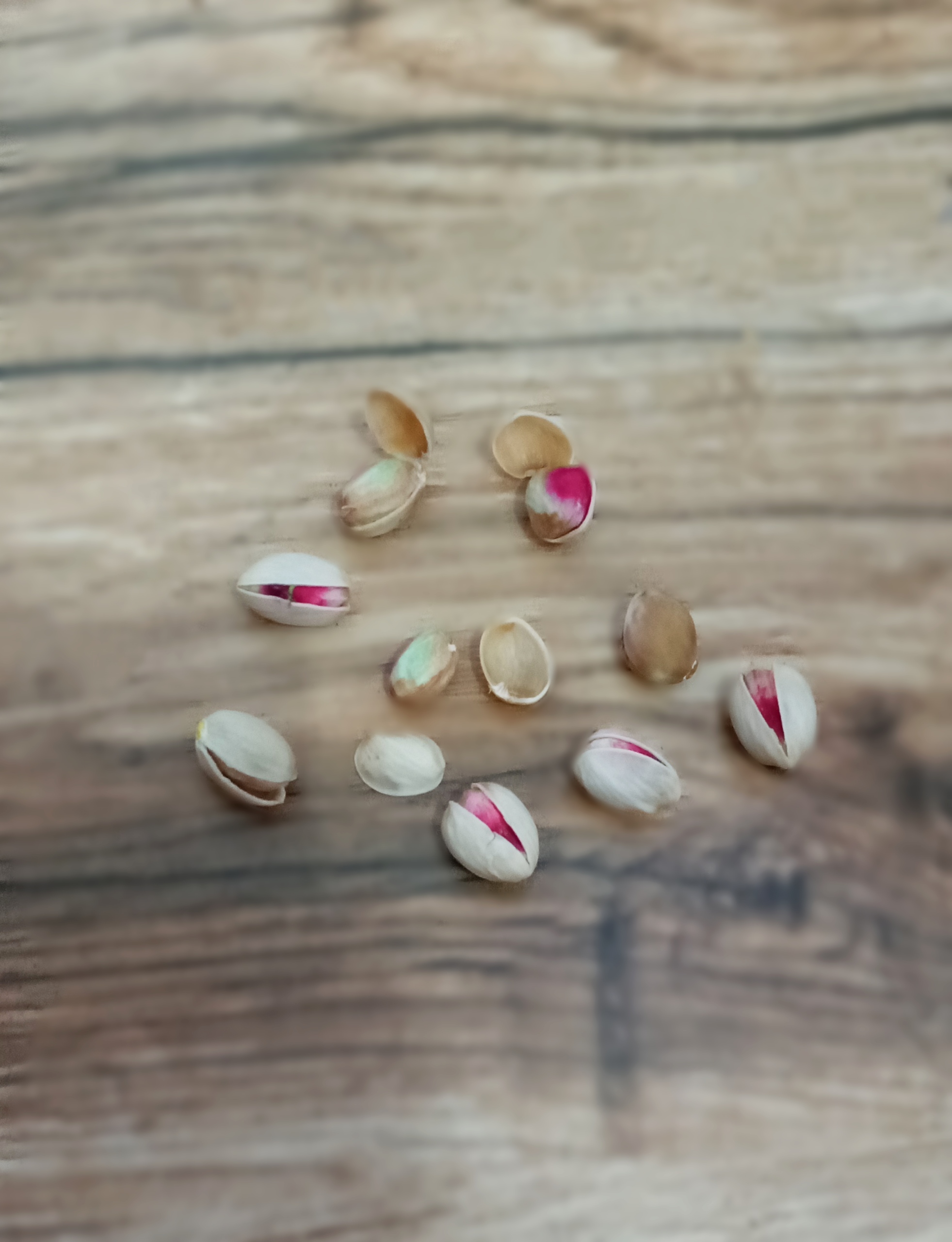 پسته برداشت امسال