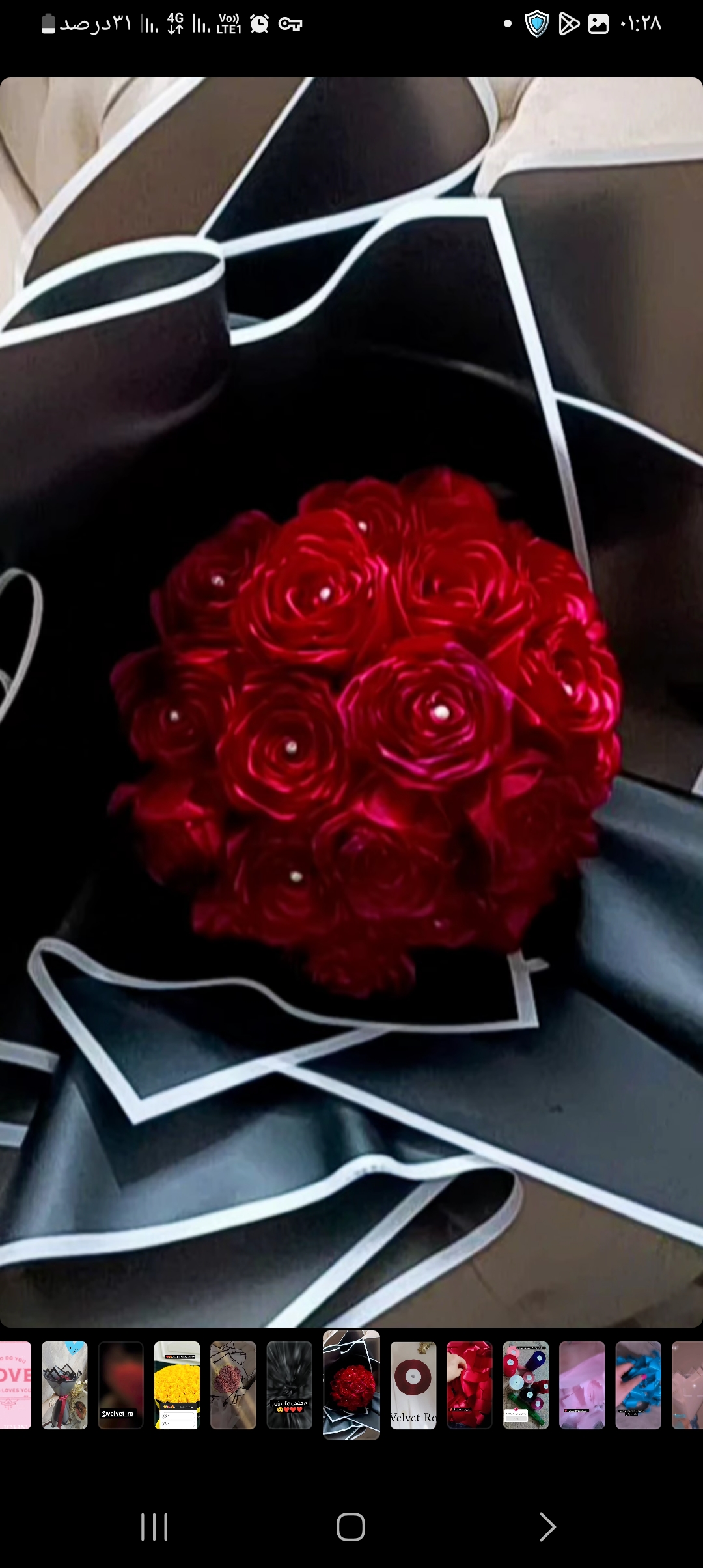 گل رز روبانی 