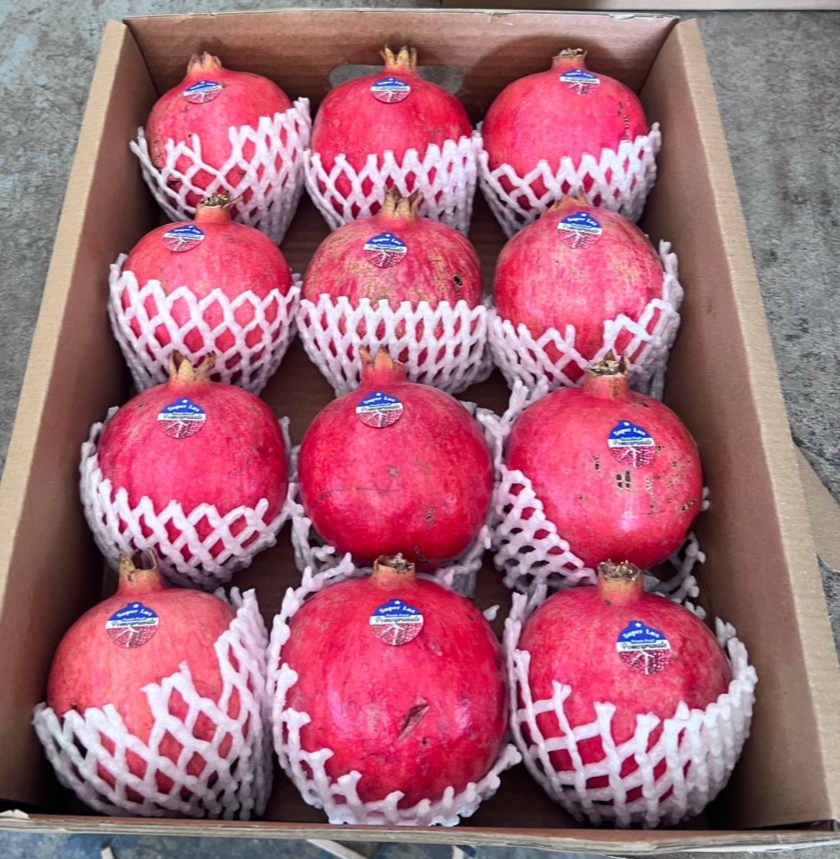 میوه و تره بار