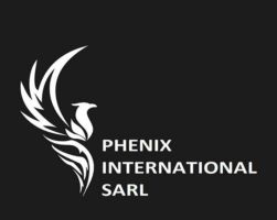 بازرگانی در حوزه کشورهای آفریقایی