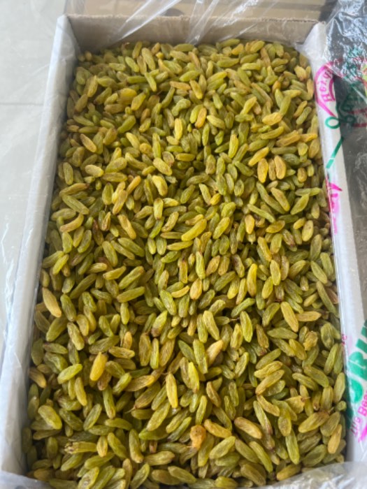 کشمش قلمی مستقیم از کاشمر