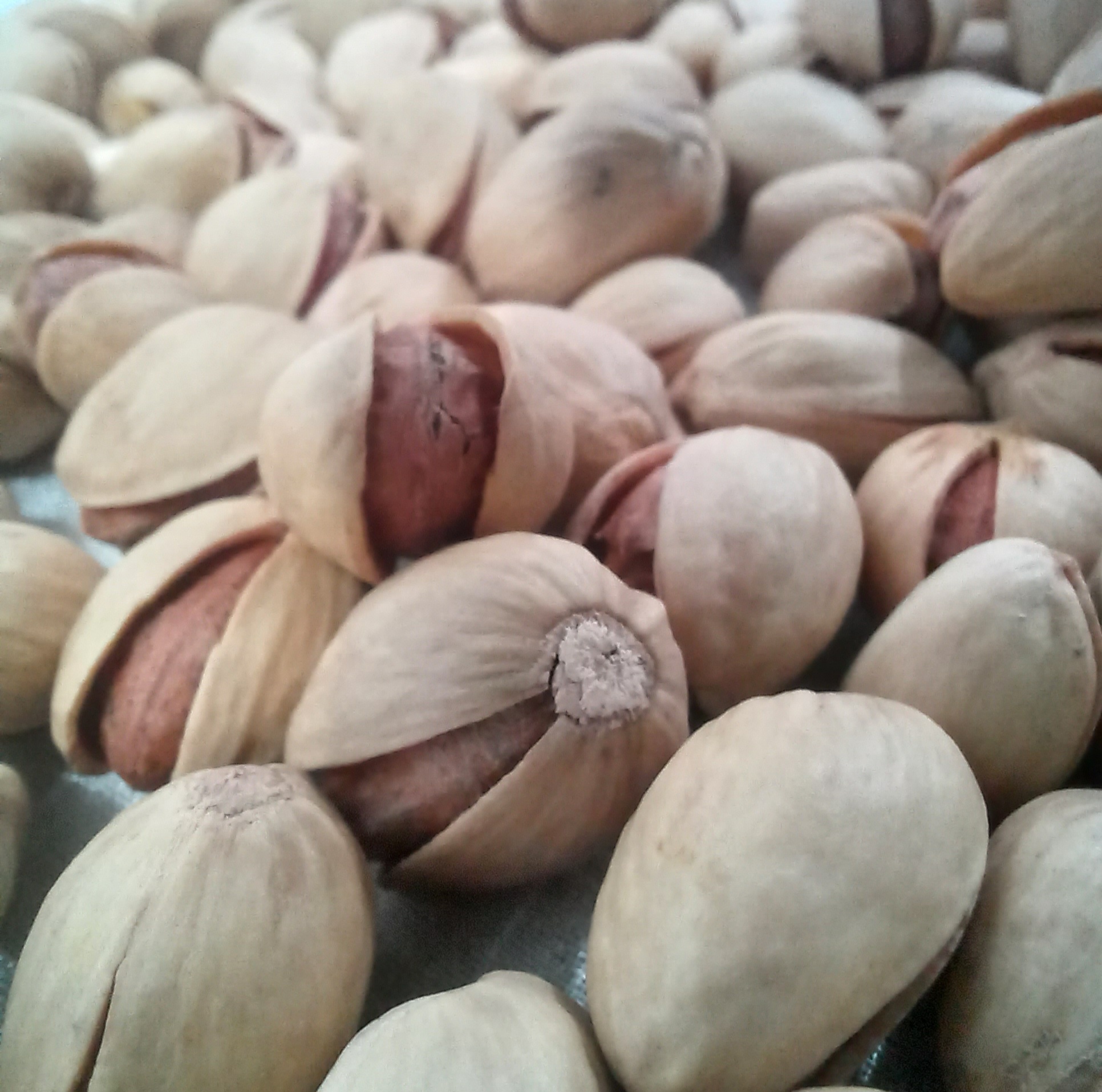 پسته درجه 1 کرمان