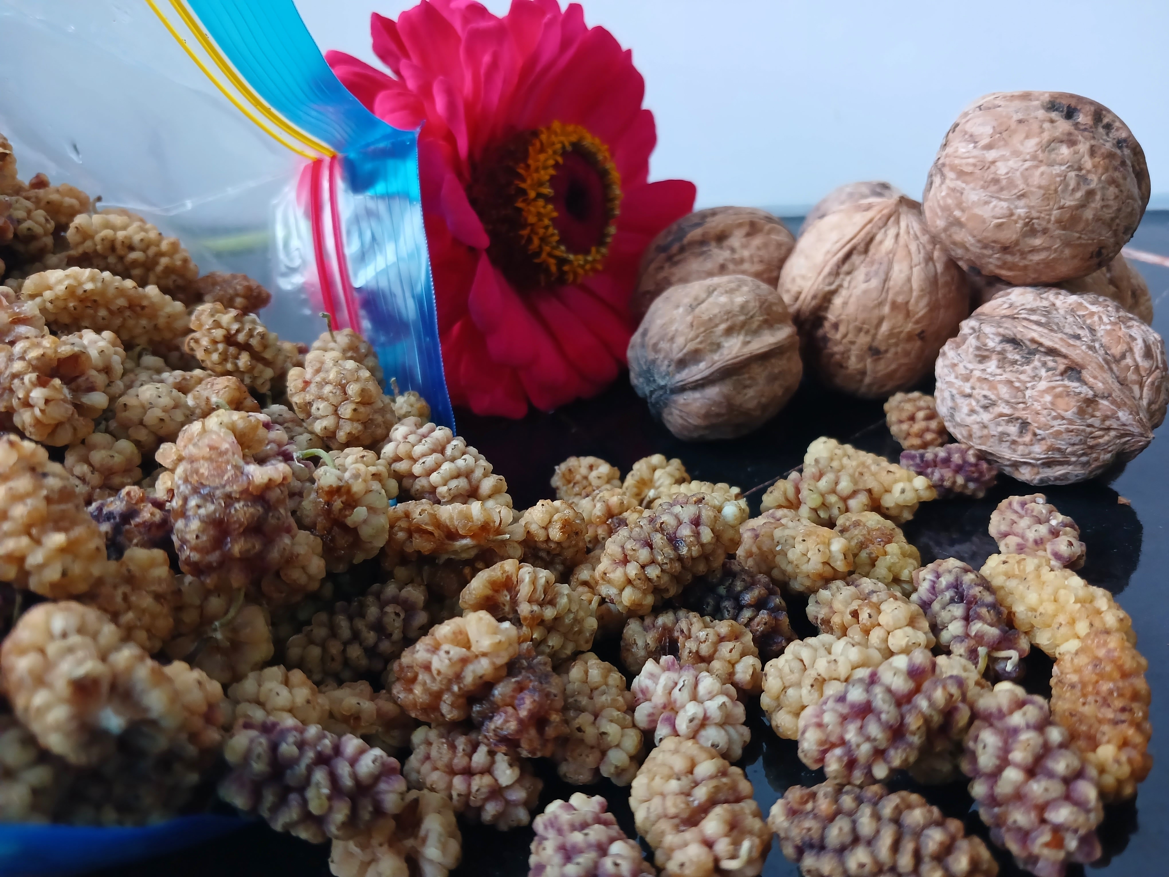 میوه خشک