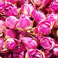گل محمدی