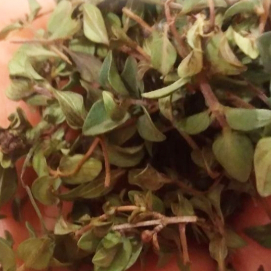 سبزی کوهی مراغه