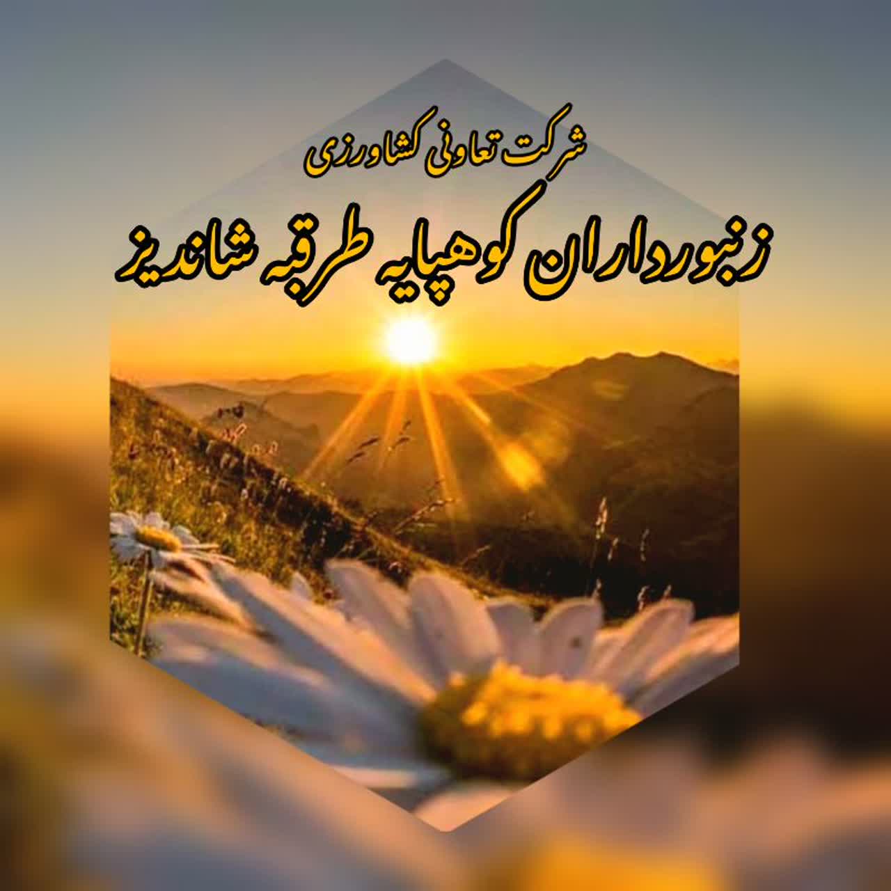 عسل طبیعی طرقبه شاندیز