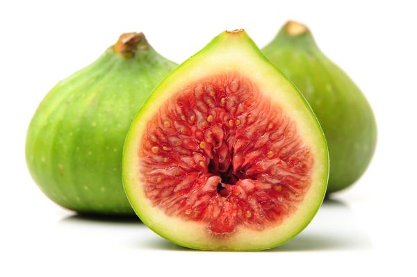 شیره سرای ناب استان مرکزی