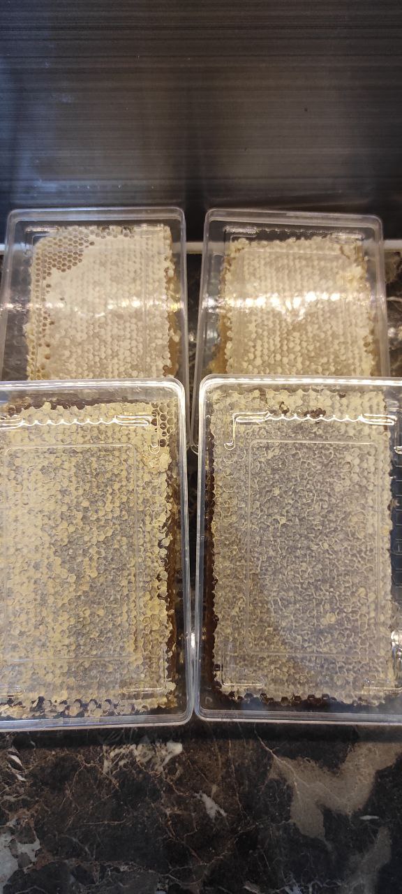 Natural honey عسل طبیعی