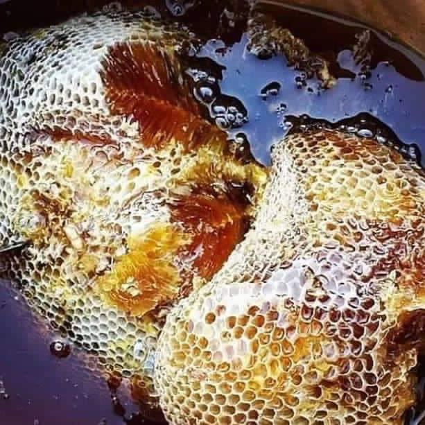 عسل جبلی