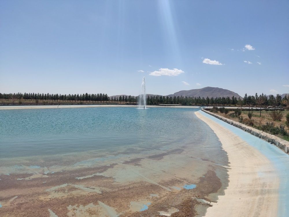 زمین استثنایی 