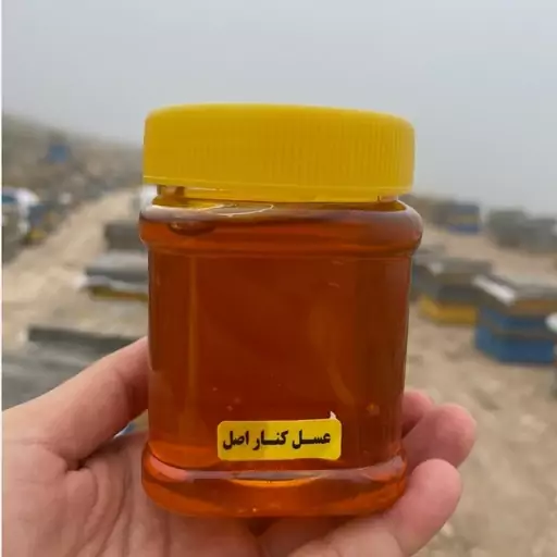 عسل