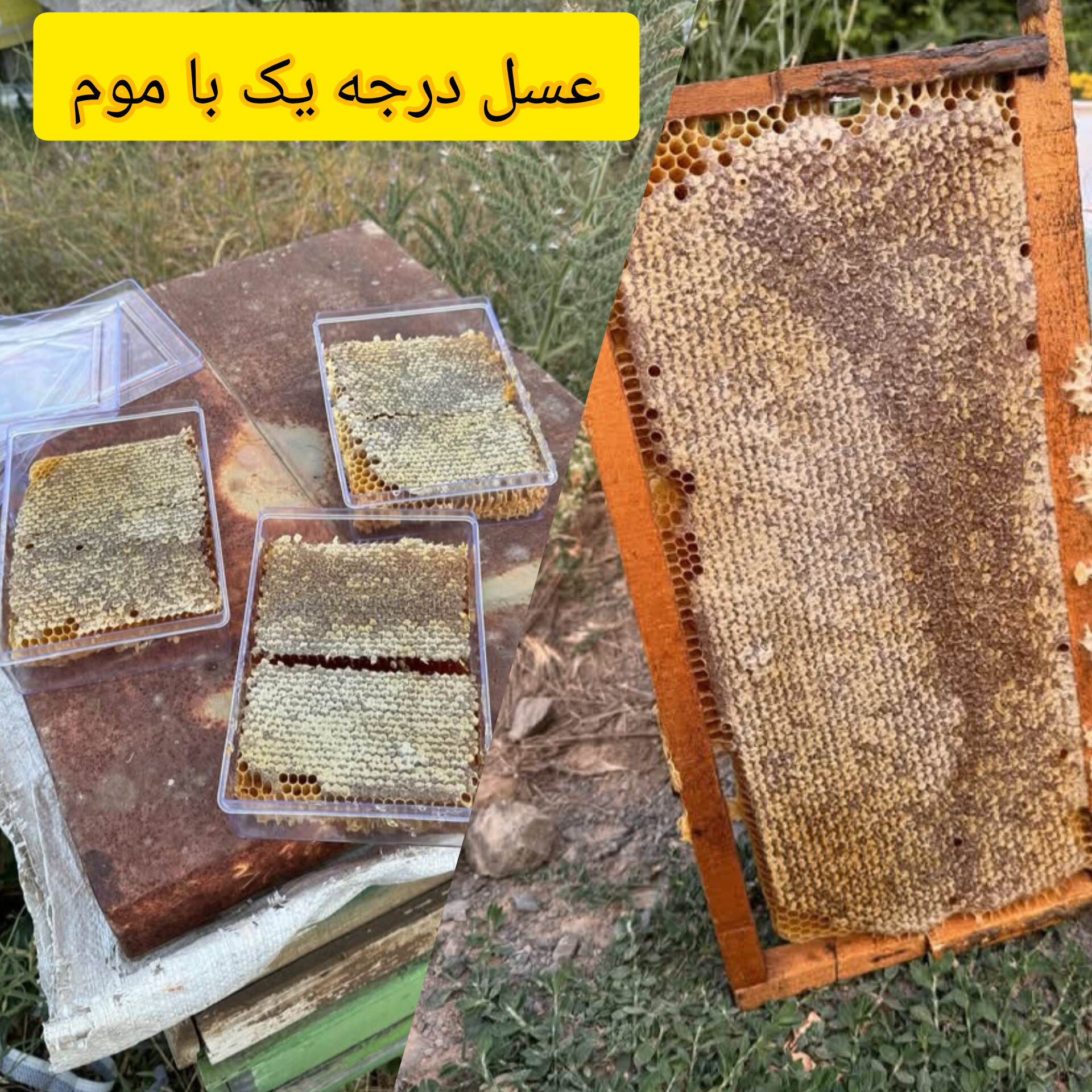 تامین کننده (خرما،عسل،زعفران)