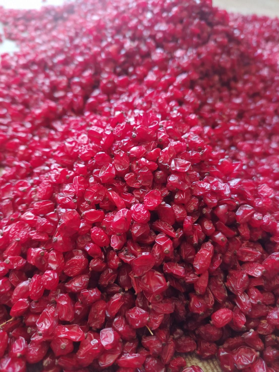 زرشک ارسال به کشورهای عربی