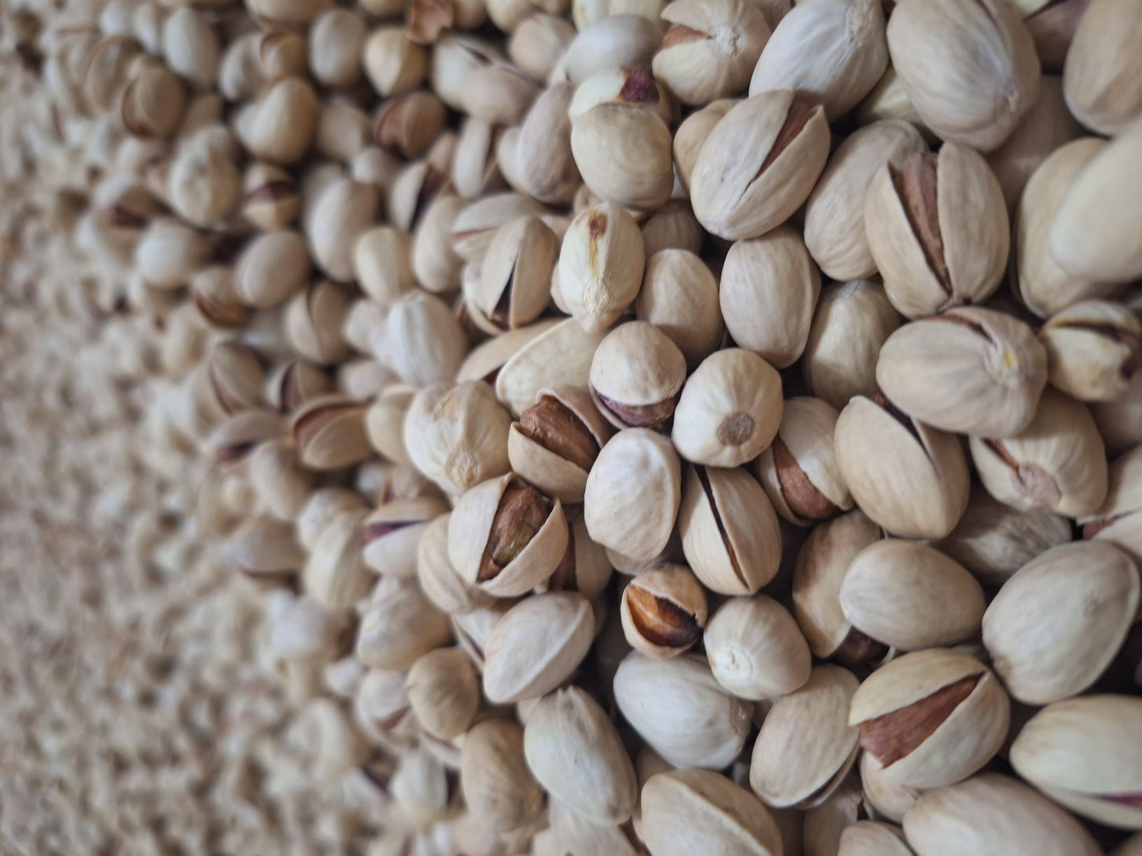 پسته فندقی .فروش جزئی به قیمت عمده