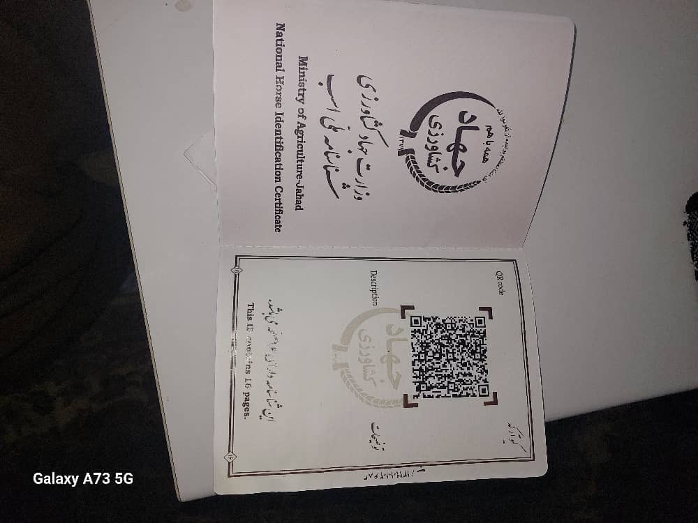 اسب اصیل