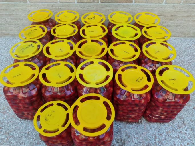 فروش انواع ترشی ملک بانو