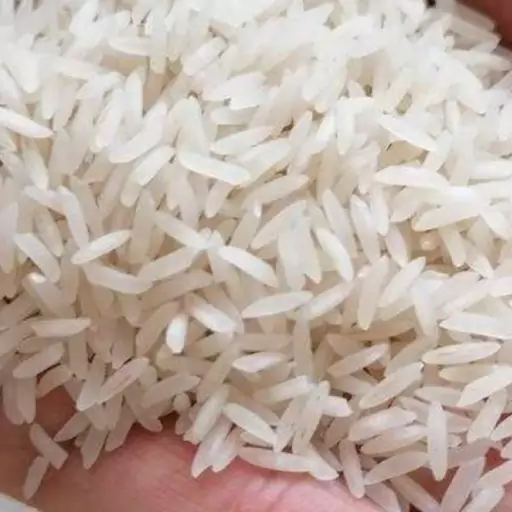 برنج مروارید کشاورزان شمالی 