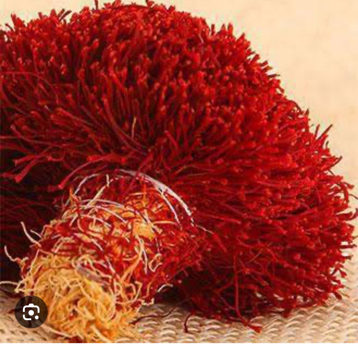 زعفران با کیفیت صادراتی