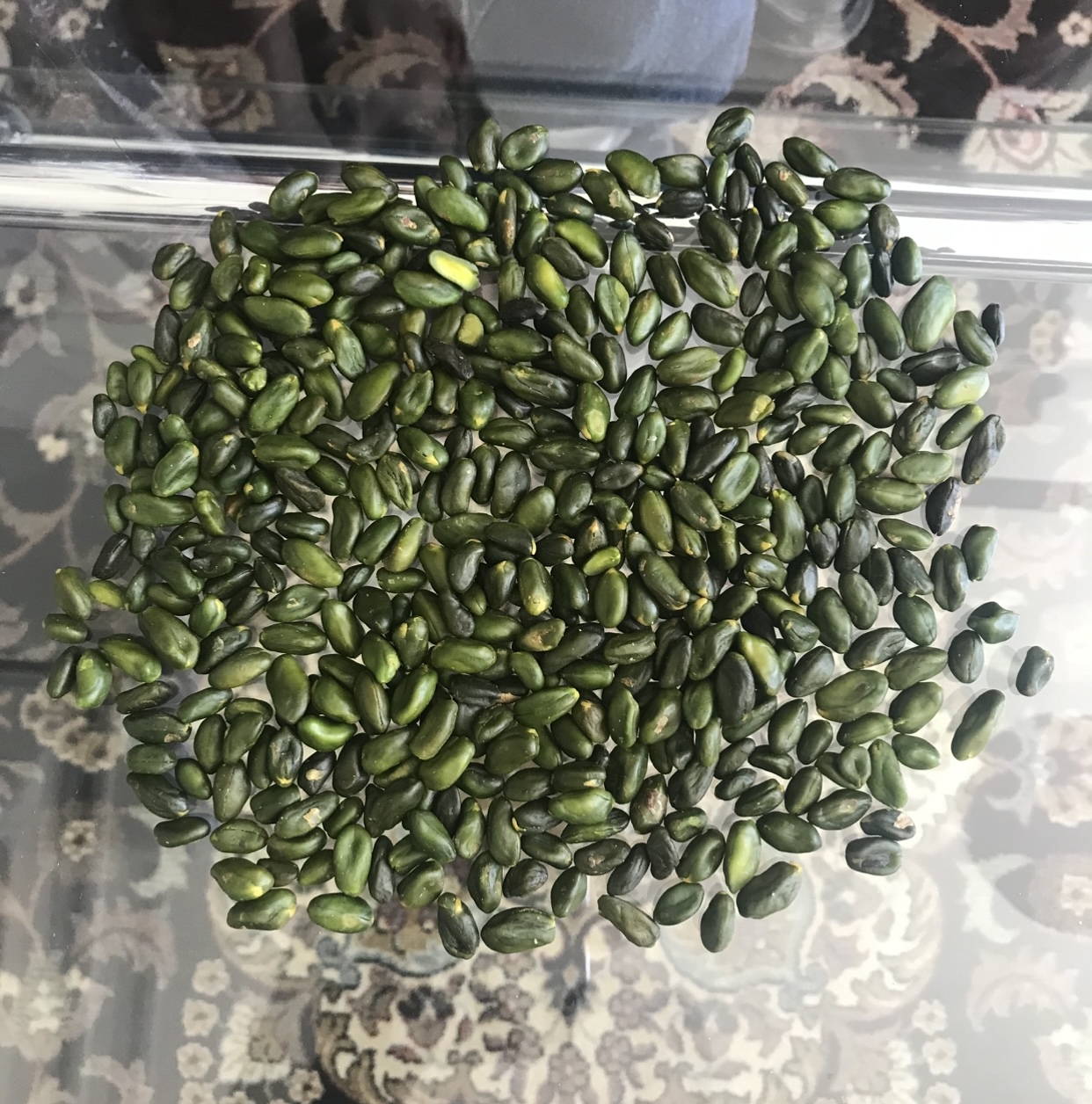 كمپاني خشكبار 