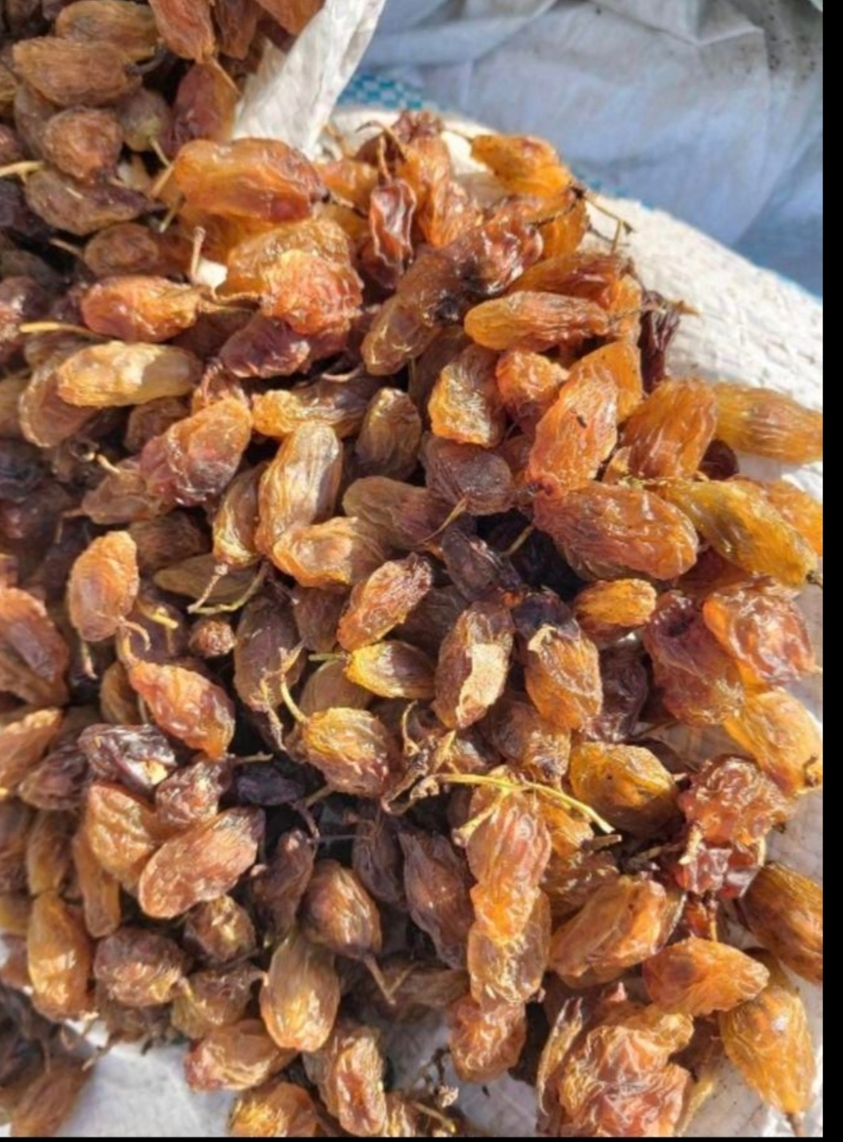 کشمش 