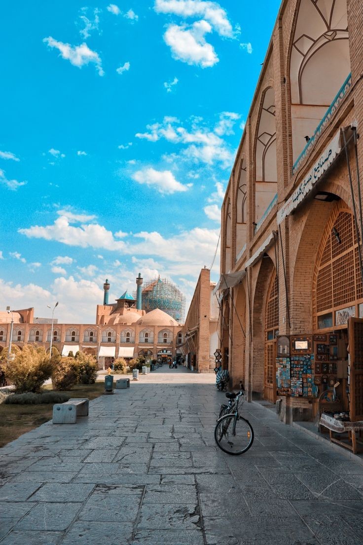 همراهی توریست