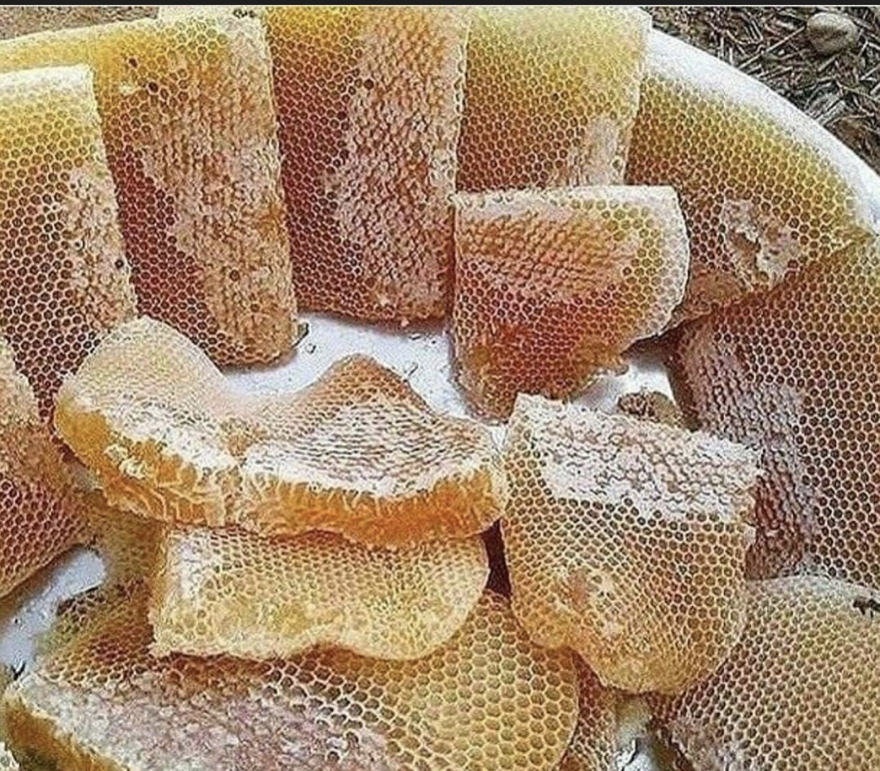 عسل طبیعی اردبیل