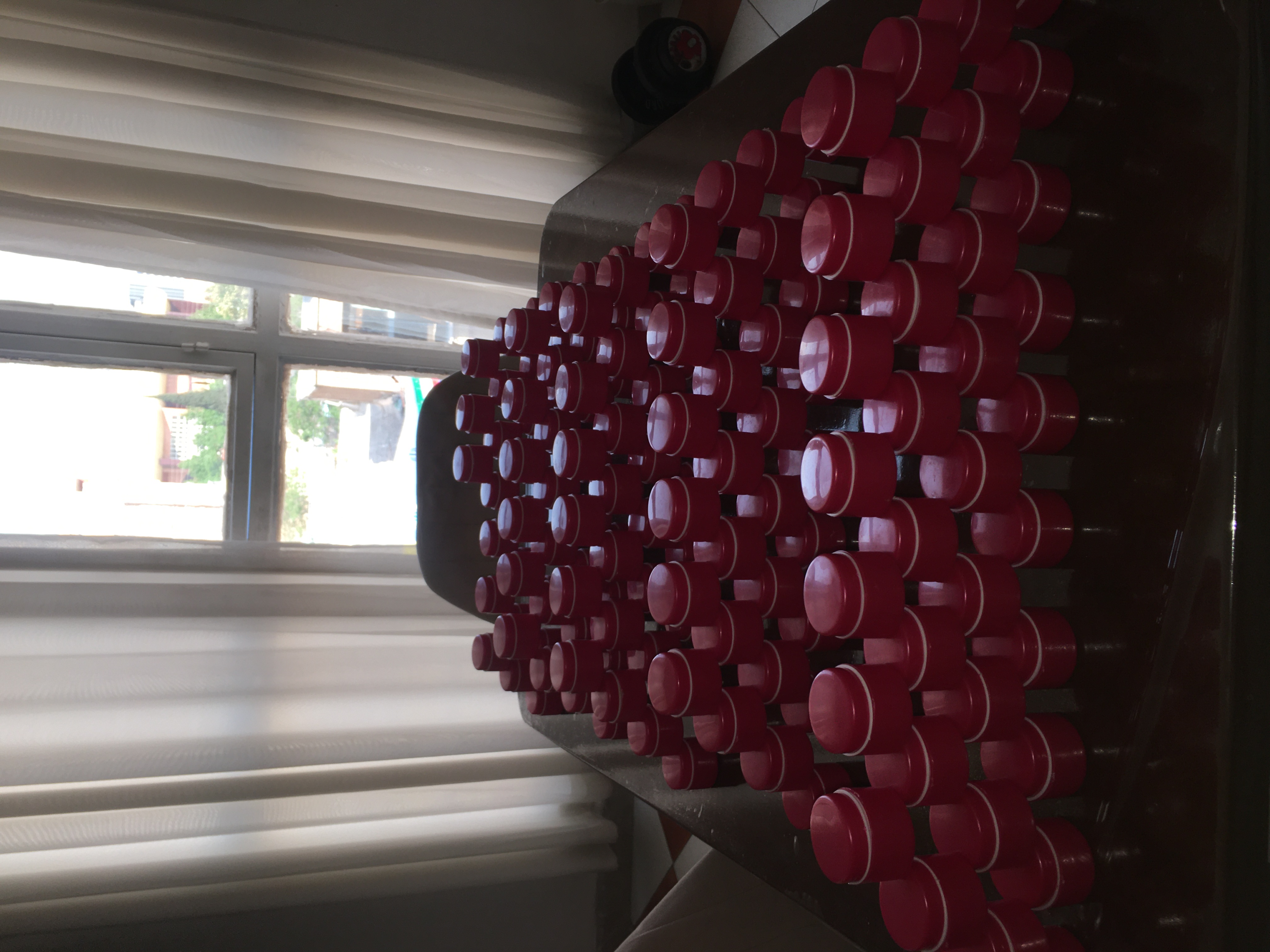 کرم شب آبرسان _ ارگانیک