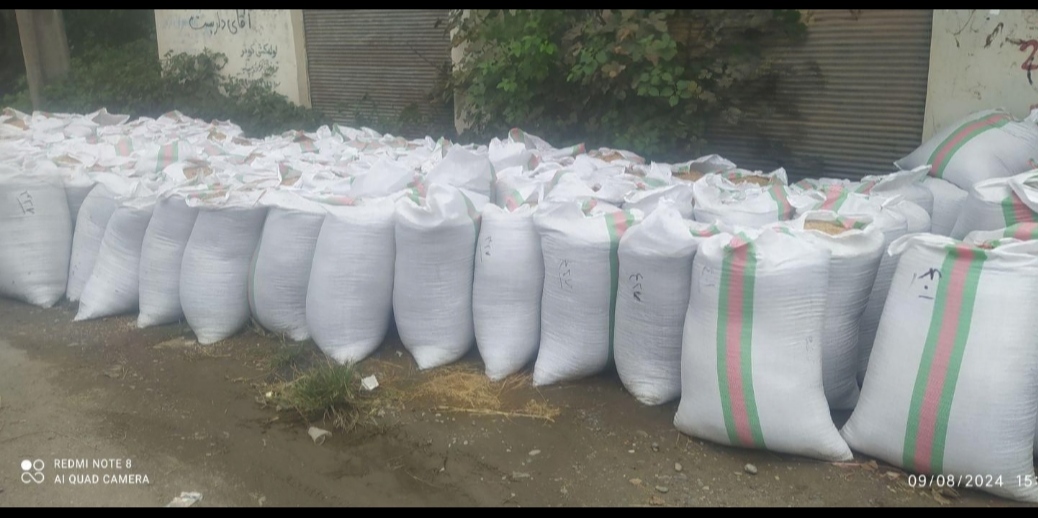 برنج درجه یک شمال